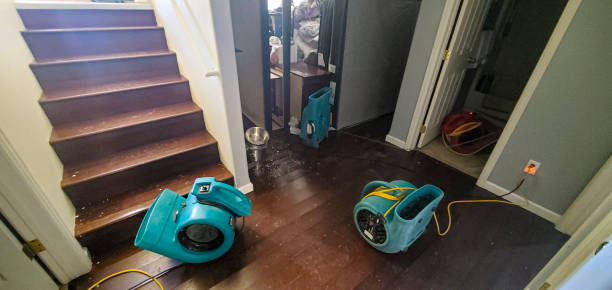 Trusted Congress, AZ Water damage restoration Experts
