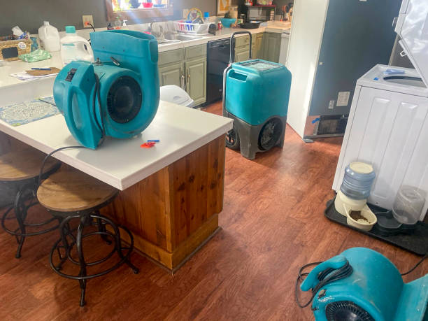  Congress, AZ Water damage restoration Pros