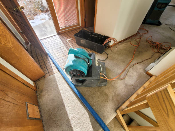 Best Commercial water damage restoration  in Congress, AZ