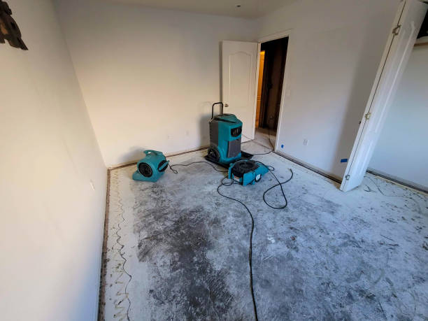 Best Ceiling water damage repair  in Congress, AZ