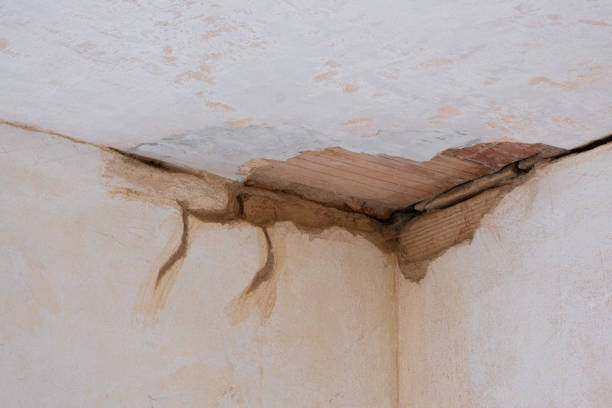 Best Flooded house restoration  in Congress, AZ