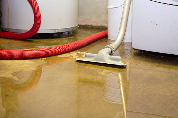 Best Professional water damage repair  in Congress, AZ