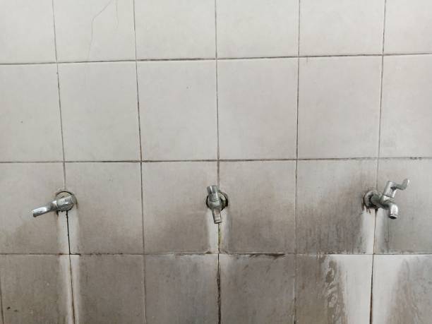 Best Flood damage cleanup  in Congress, AZ