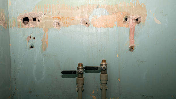 Best Water damage restoration near me  in Congress, AZ