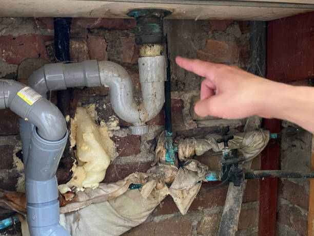 Best Flood damage cleanup  in Congress, AZ