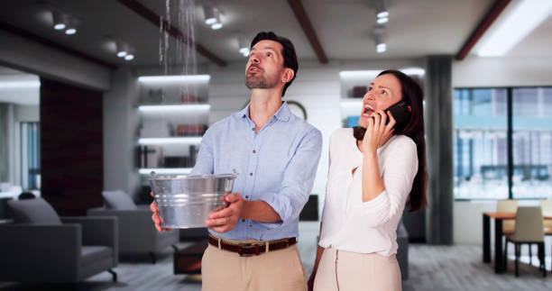 Best Water damage restoration near me  in Congress, AZ