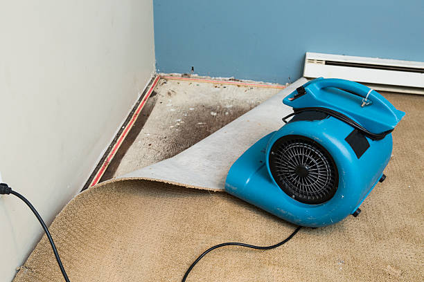 Best Residential water damage restoration  in Congress, AZ